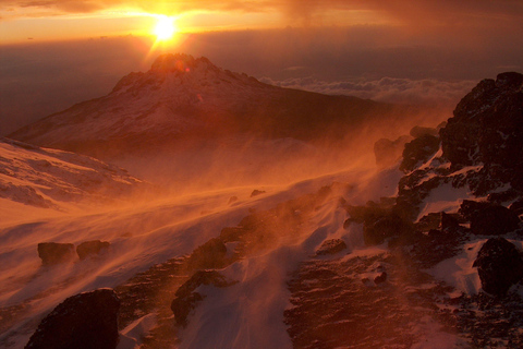Au départ d'Arusha : 7 jours d'excursion guidée sur la route du Kilimandjaro et du Rongai