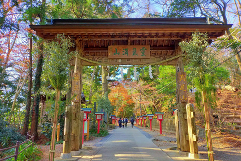 Aventura no Monte Takao: Descobre a natureza e a tradição em Tóquio