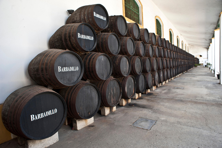 Cádiz: Bodegas Barbadillo Tour & Wine Tasting Cádiz: Bodegas Barbadillo Tour & Wine Tasting in Spanish