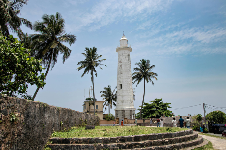 Colombo: Galle, Madu River Day Trip with Turtle Conservation