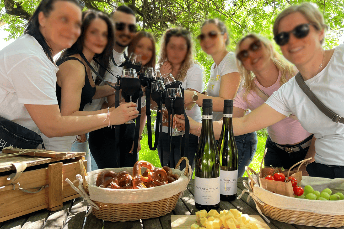 斯图加特精品酒庄徒步游：探索美酒与酿酒师小吃