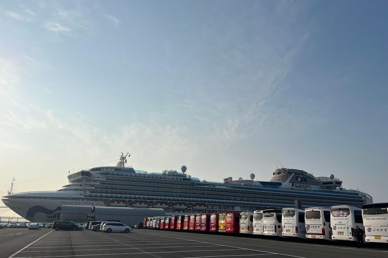 Busan: Top Attractions Tour for Cruise Guests For Busan Cruise Guest Highlight Top Attraction Group Tour