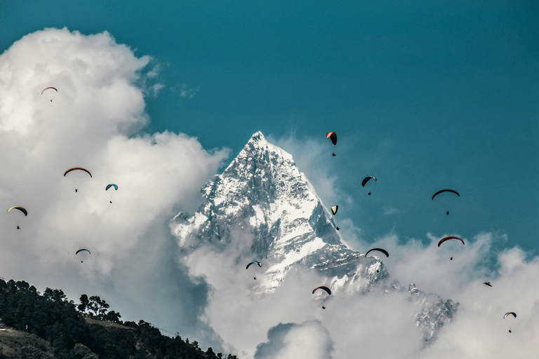 Pokhara: Sarangkot Sunrise Tour-Breakfast in HimalayanFront