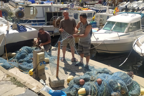 Marsiglia: Tour a piedi dei punti salienti