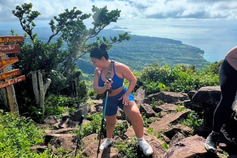 Gros Piton Adventure with Tour For The Day