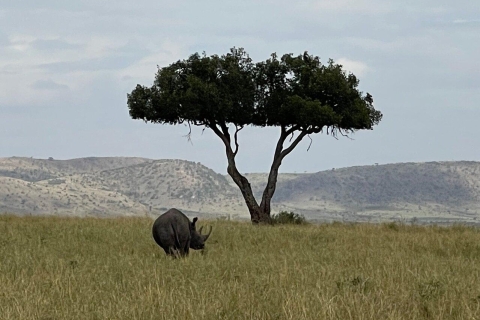 Pół dnia Nairobi - park narodowy, centrum słoni i żyraf