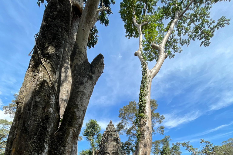 Siem Reap: Angkor Wat Private Ganztagestour