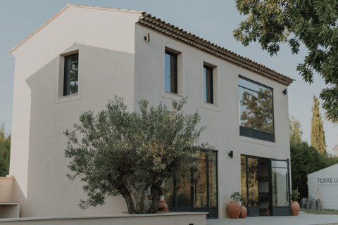 Aix-en-Provence: Lavender Fields Visit