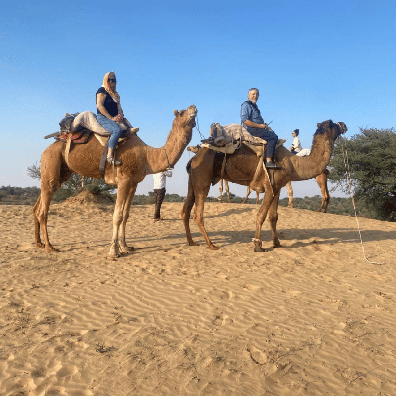 Jodhpur-Kamel- und Jeep-Safari mit Sonnenuntergang, Volkstanz und Abendessen