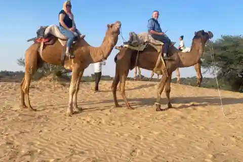 Jodhpur Camel & Jeep Safari with Sunset, Folk Dance, Dinner