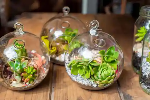 Orange County: Flower Decorating Classes