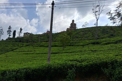 Sri Lanka: Complete Island Tour