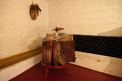 Authentic Rioja Wine Tasting in a Village near Logroño