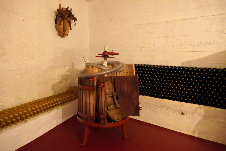 Authentic Rioja Wine Tasting in a Village near Logroño