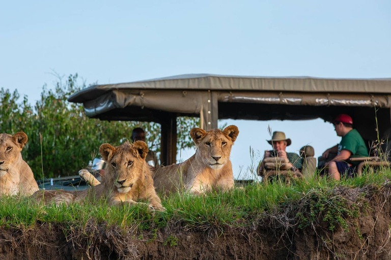 5 Days Family Tanzania Safari - Meilleur Tours Tanzania