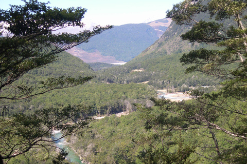 Queenstown: Geführte Ganztages- oder Halbtageswanderung auf dem Routeburn TrackRouteburn Track – geführter Naturrundgang – halbtägig