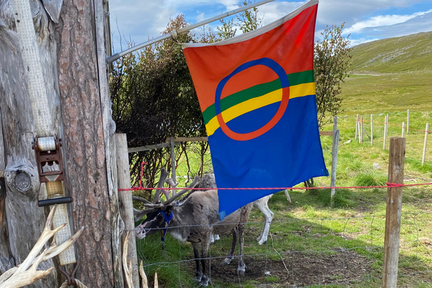 Honningsvag: Viaje de visita al Cabo Norte y la familia sami
