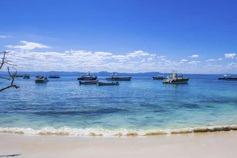 Punta Cana: Samaná ATV Tour with Lunch & Beach Swim