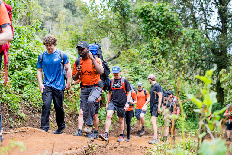 8-Day Kilimanjaro Lemosho Route Trek