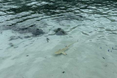 From Khao Lak: Phi Phi, Maya bay & Khai island Day Trip
