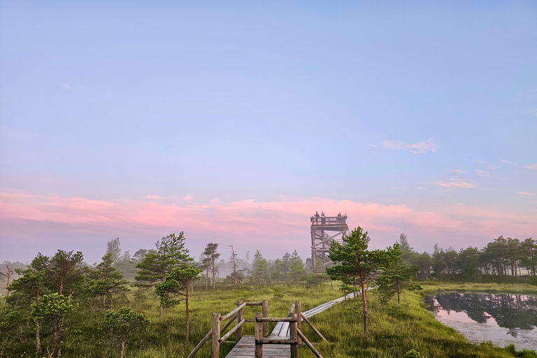 Ķemeri Great Bog With Optional Sunrise & Jūrmala Visit Ķemeri Bog Shared Small Group Tour