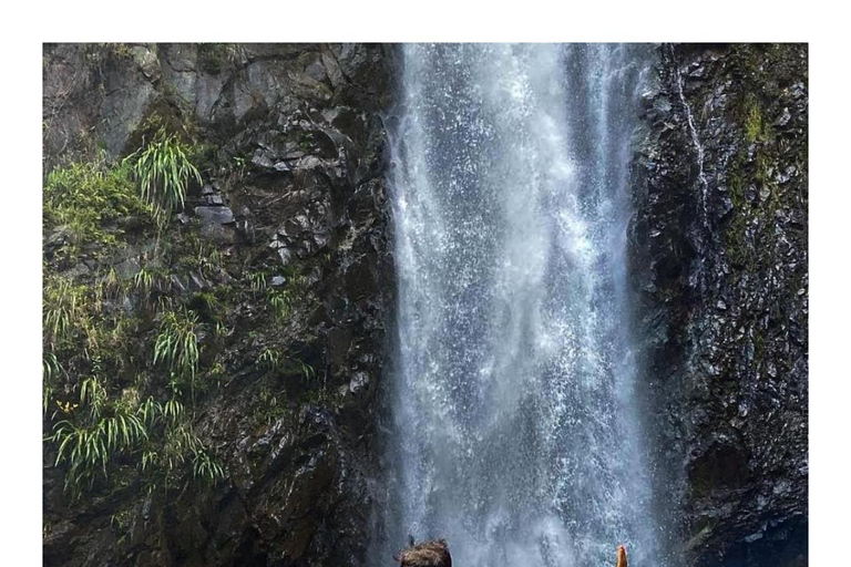 لاس فيراباس: جولة لمدة 3 أيام إلى سيموك شامبي والكثير من الطبيعة