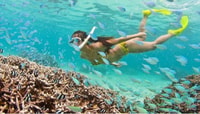 Hoi an, Cham Islands Snorkeling Trip por lancha rápida con almuerzo - Housity