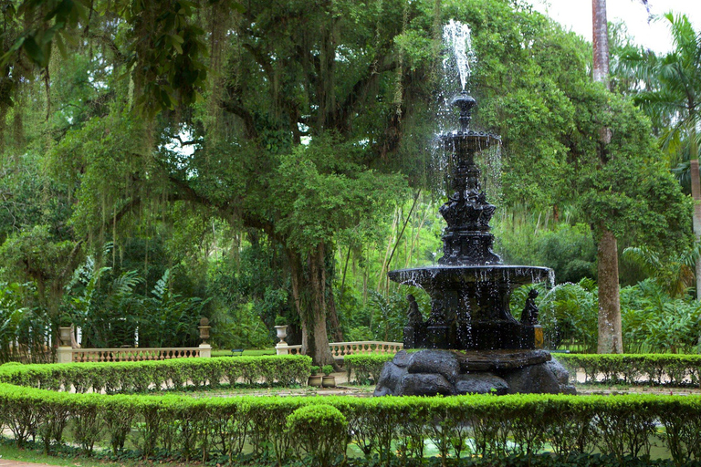 Rio de Janeiro: Tijuca National Park & Botanic Garden Tour