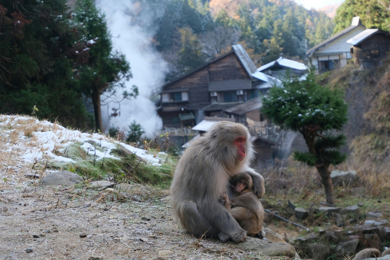 Nagano: Snow Monkey Park Full-Day Guided Private Tour Nagano: Snow Monkey Park Full-Day Guided Tour in Lexus