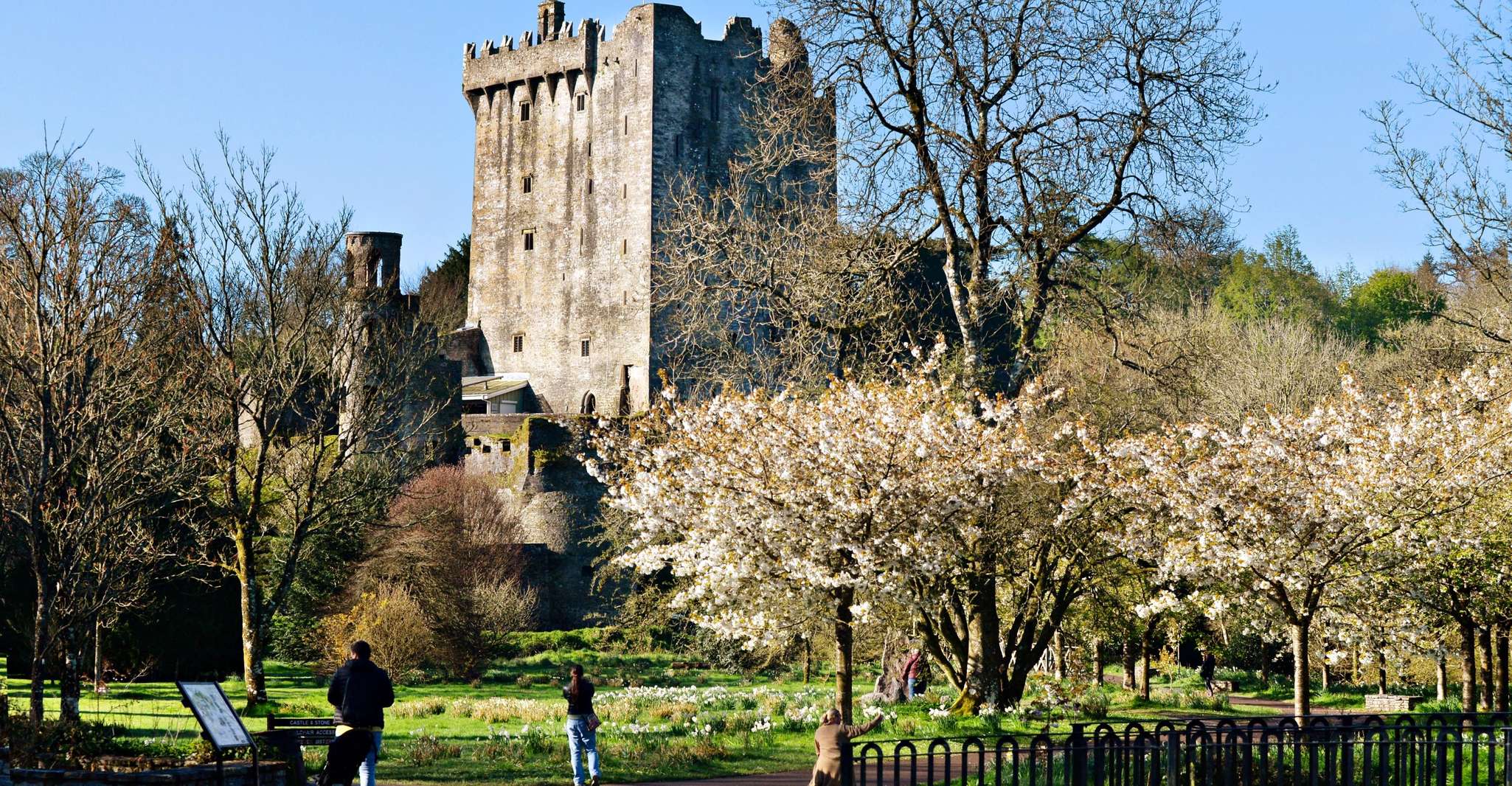 From Dublin, Blarney, Rock of Cashel and Cahir Castles Tour - Housity