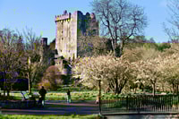 Aus Dublin, Blarney, Rock of Cashel und Cahir Castles Tour - Housity