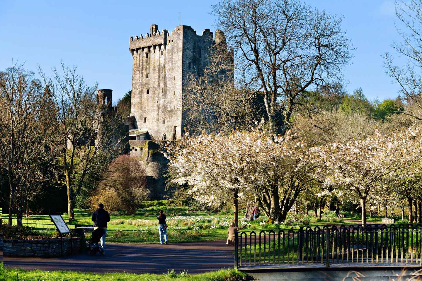 Desde Dublín: Tour a los castillos de Blarney, Roca de Cashel y Cahir