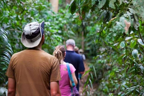 Zanzibar: Privat kryddodlingstur med lokal guide.Det här alternativet inkluderar upphämtning från hotell i Stone Town.