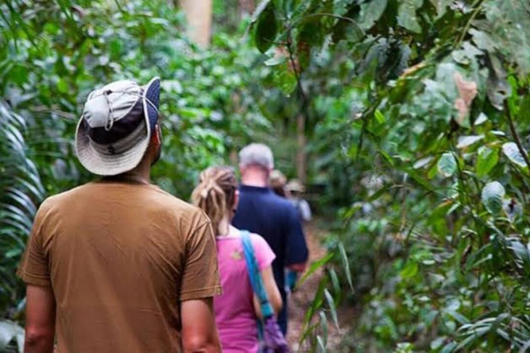 Zanzibar: Privat kryddodlingstur med lokal guide.Det här alternativet inkluderar upphämtning från hotell i Stone Town.