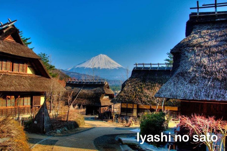Tokyo: Mount Fuji Private Tour with Scenic Lunch Experience