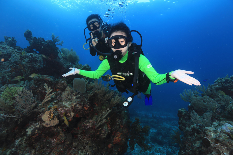 CANCUN: 2T REEF DIVES FOR CERTIFIED DIVERS