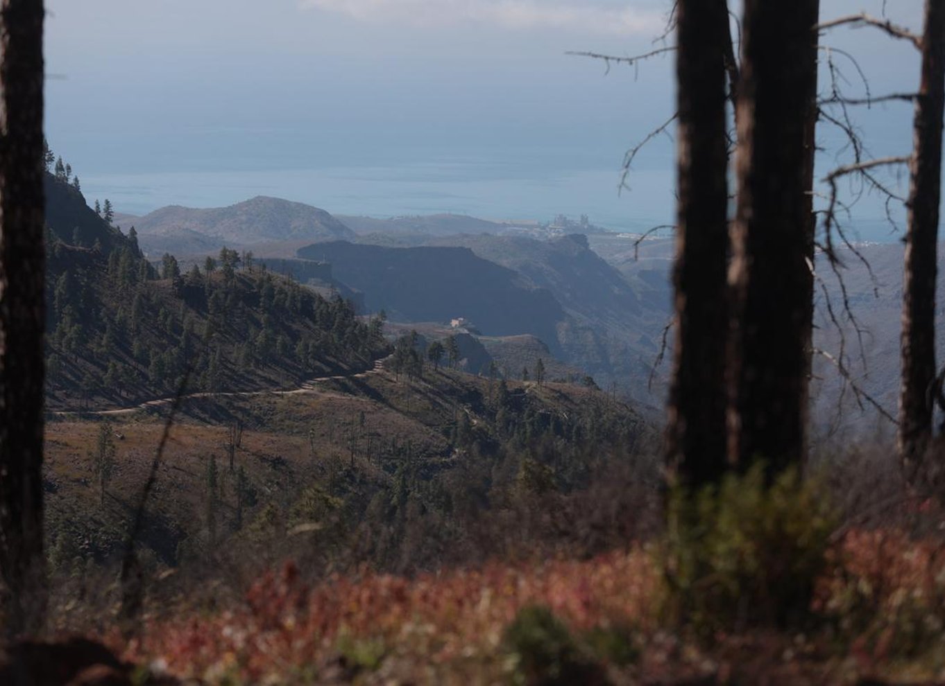 Sydlige Gran Canaria: Offroad-tur i dale og landsbyer med jeep