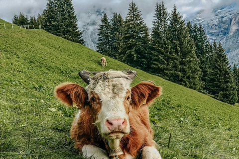Interlaken: Grindelwald First Cliff Walk with Hotel Pickup