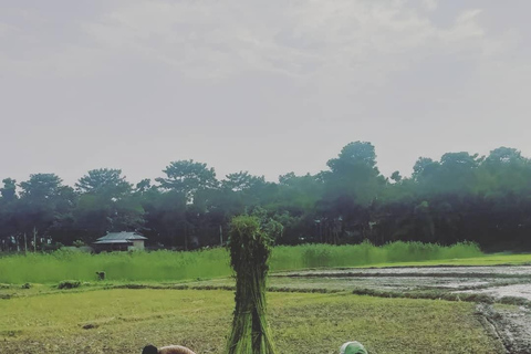 From Kolkata: Sundarbans 3-Day Tour with Boat Safari & Meals