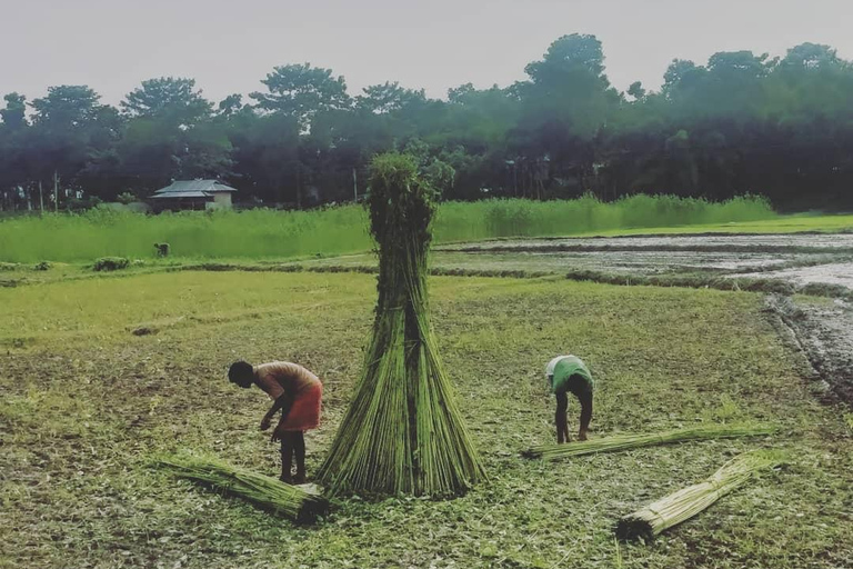 From Kolkata: Sundarbans 3-Day Tour with Boat Safari & Meals