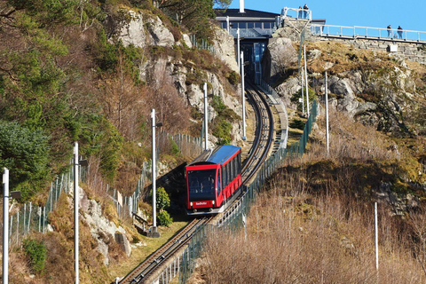 Privat vandringstur i Bergen som en lokalbo