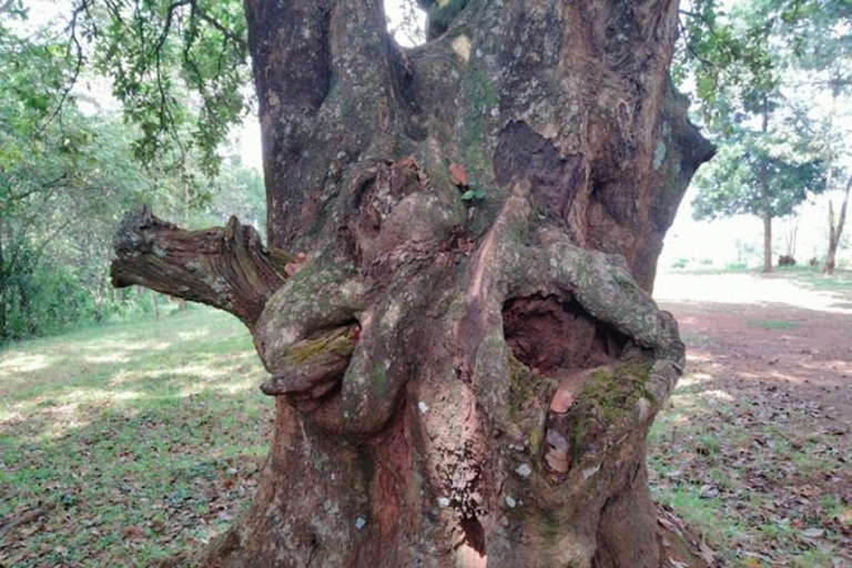 Historic, Natural Wonders: Zaina Falls & Mau Mau Cave Hike