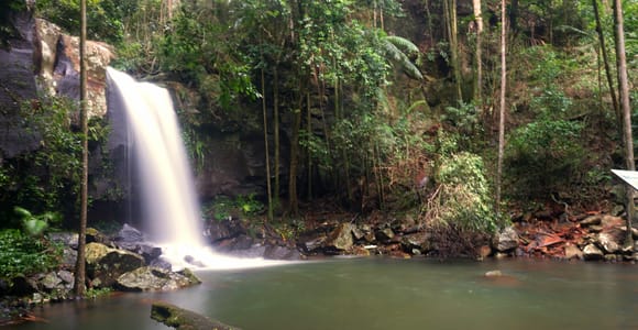 Gold Coast: Rainforest & Falls Day Hike, Glow Worms at Night