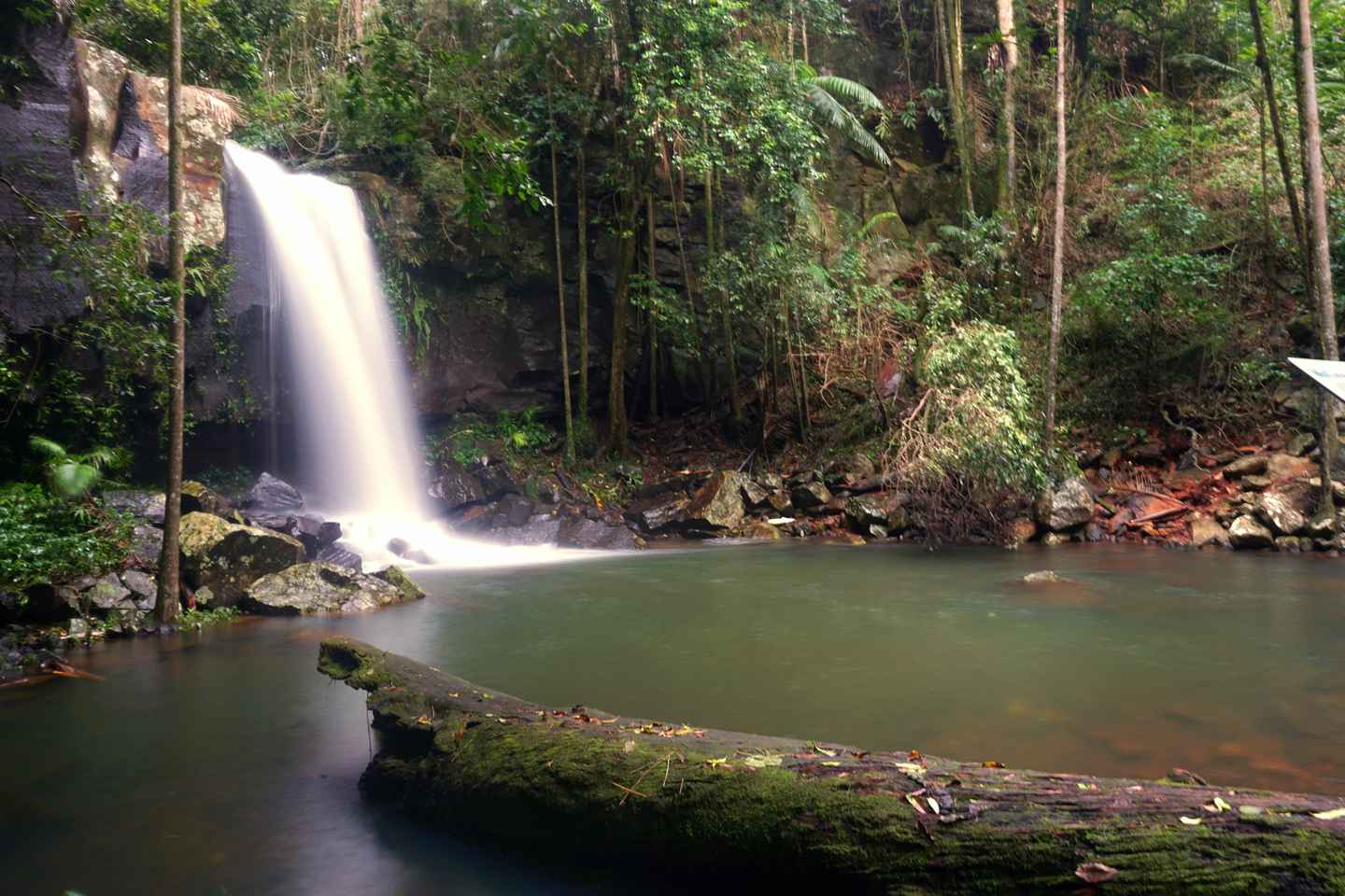 Gold Coast: Glow Worms Day/Night Rainforest & Waterfall Walk