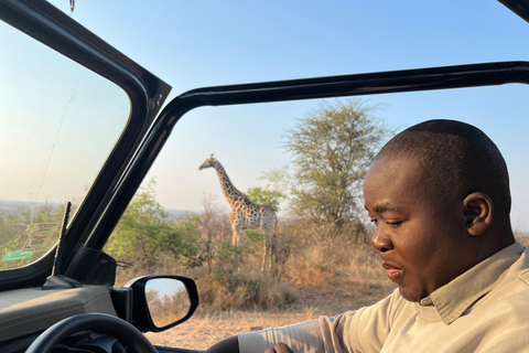 Tour di un giorno di safari a Johannesburg - Avventura con i Big 5 del Pilanesberg