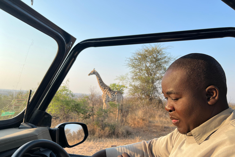 Johannesburg Safari dagstur - Pilanesberg Big 5 äventyr