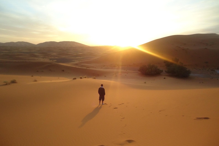Excursión privada al amanecer o al atardecer por el desierto de QatarExcursión privada de safari por el desierto al amanecer o al atardecer en Qatar