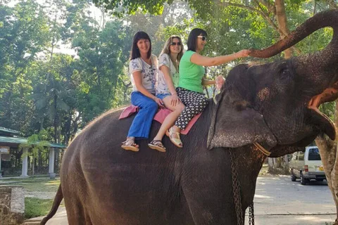 Pinnawala,Kandy Day Tour from Colombo/Negombo