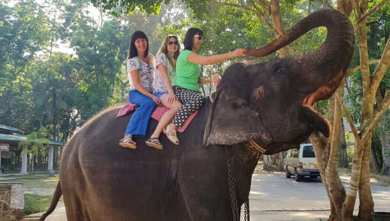 Pinnawala,Kandy Day Tour from Colombo/Negombo