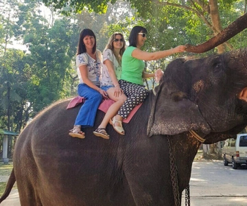 Pinnawala, Kandy Dagtour vanuit Colombo/Negombo